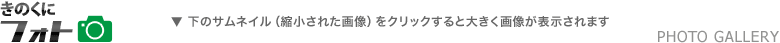 きのくにフォト