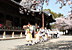 行進／紀の川市　粉河寺