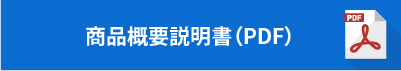 Web完結型マイカーローン　カーライフ　商品概要説明書